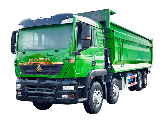 8x4 HOWO TX Dump Truck
